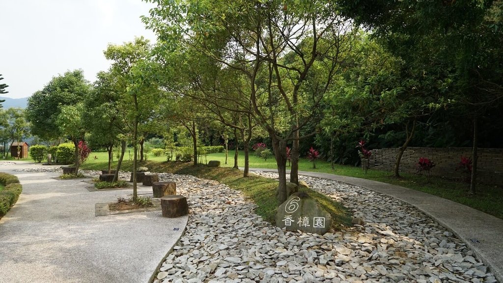 大S樹葬掀討論!台北市殯葬處闢謠:不會挖出骨灰再燒