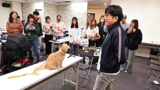 寵物名醫戴更基爆性騷擾風波！女學員控課堂被要求演示狗狗自慰