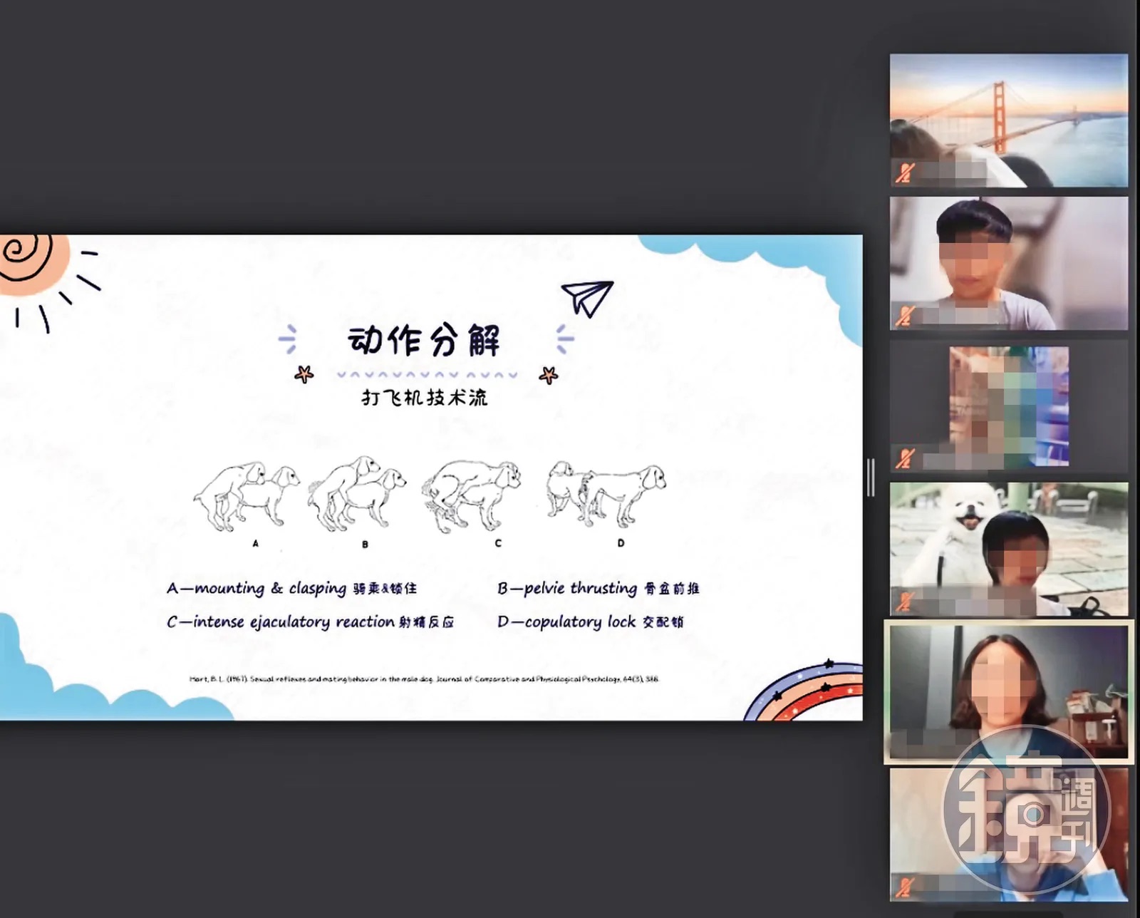 寵物名醫戴更基爆性騷擾風波！女學員控課堂被要求演示狗狗自慰