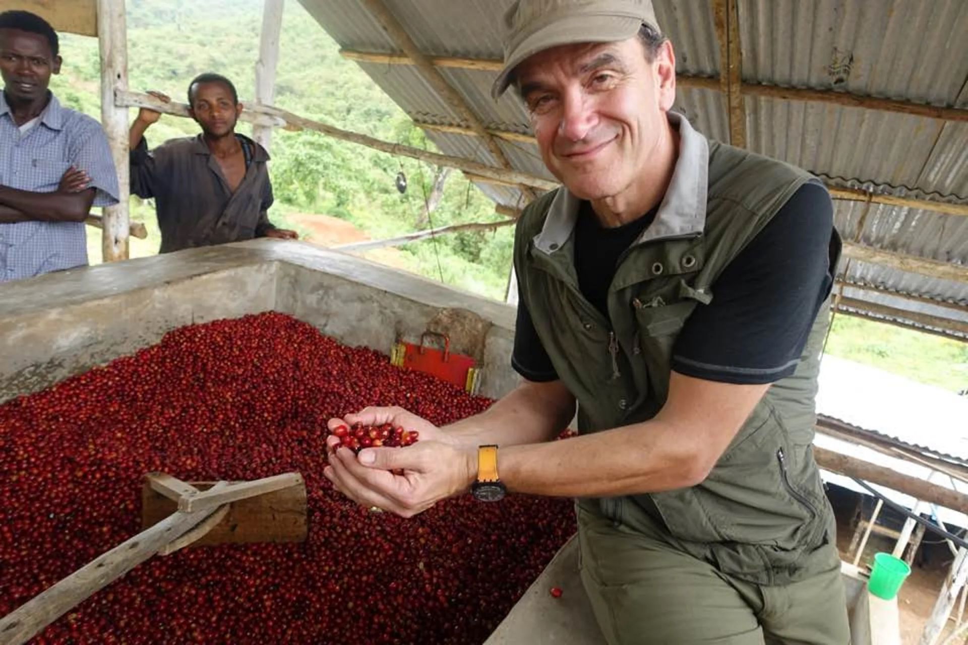 歐客佬咖啡遭跨海指控詐騙　未進貨卻賣「冠軍藝伎」　中檢分案偵辦