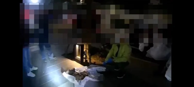 惡名早傳愛貓圈！游詩容丟垃圾遭攔　木柵焚化爐挖出12隻貓屍震驚北市