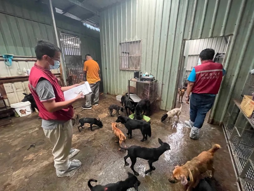 浪浪寶媽神話崩壞！李孟寶狗園被揭煉獄現場　嗆動保處「等著收屍體」遭強制沒入132犬